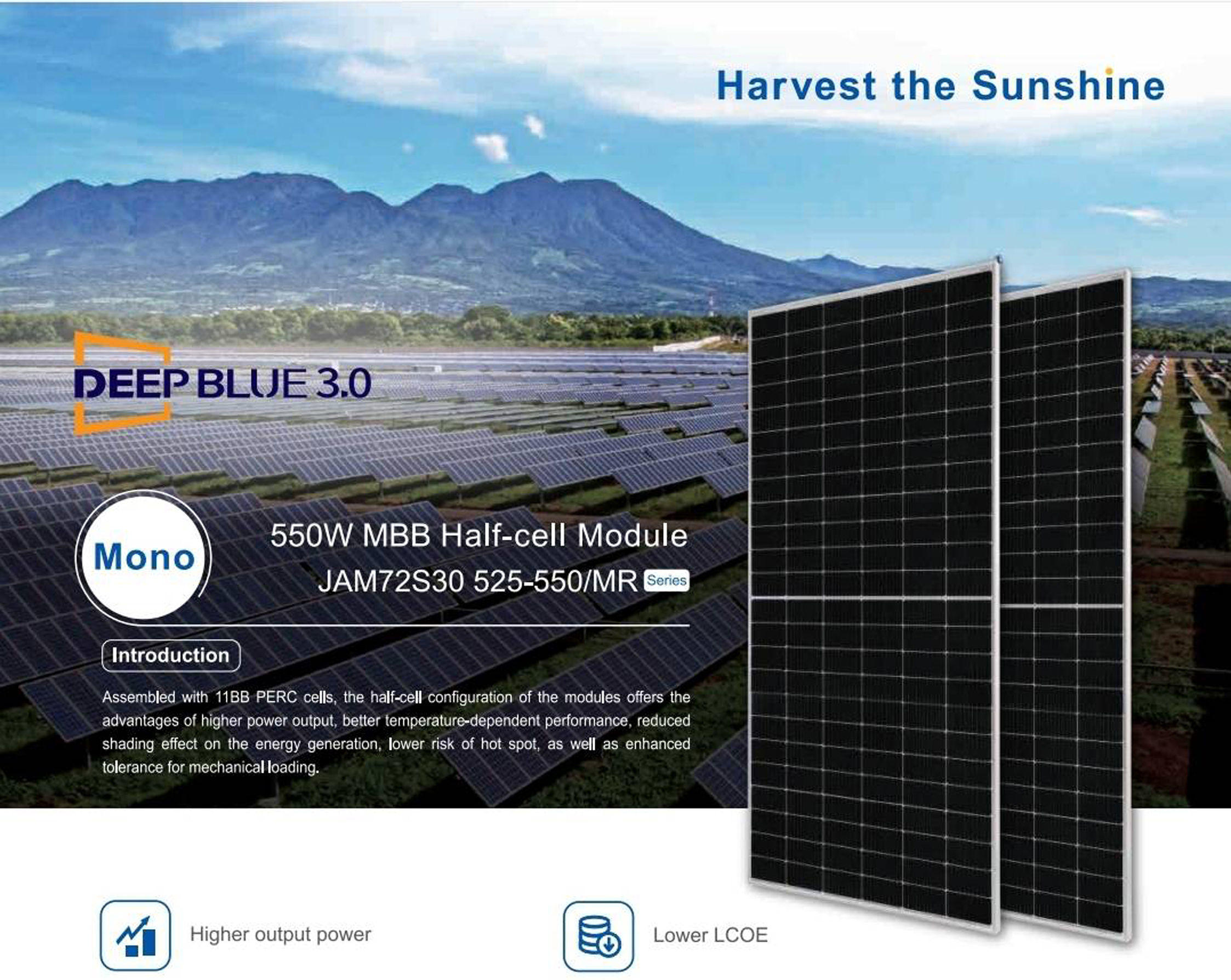 550w MBB Half-Cell-H.jpg